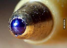 Ballpoint Pen magnified. Now I can die peacefully | Ballpoint pen, Bic  pens, Ballpoint